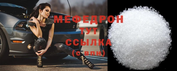 СК Ельня