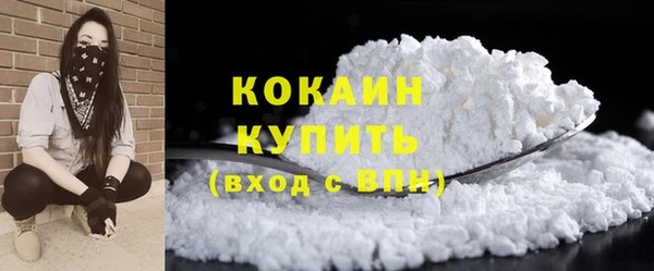 молекула духа Елизово