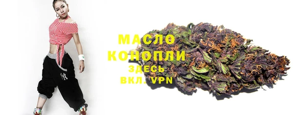 индика Покачи
