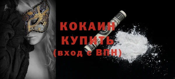 молекула духа Елизово
