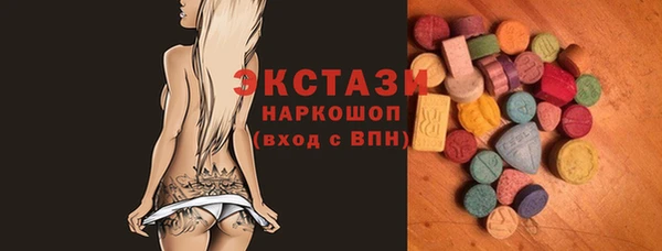 СК Ельня