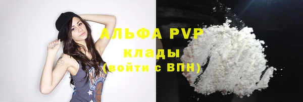 молекула духа Елизово