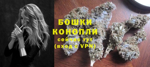 СК Ельня