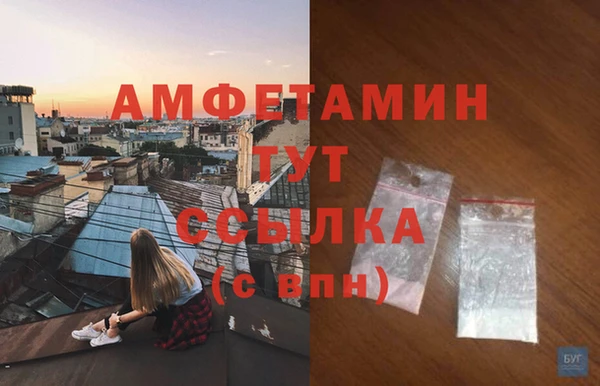 молекула духа Елизово