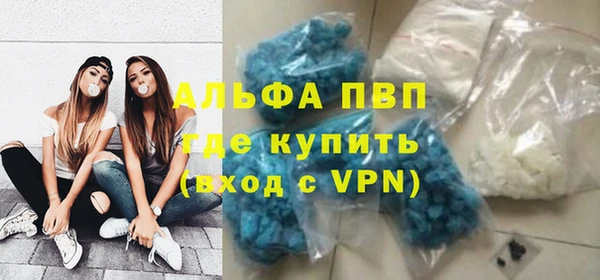 СК Ельня