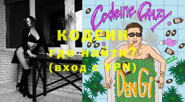 СК Ельня