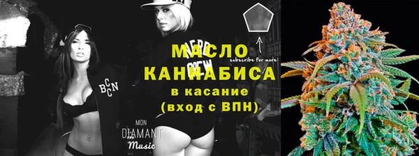 СК Ельня