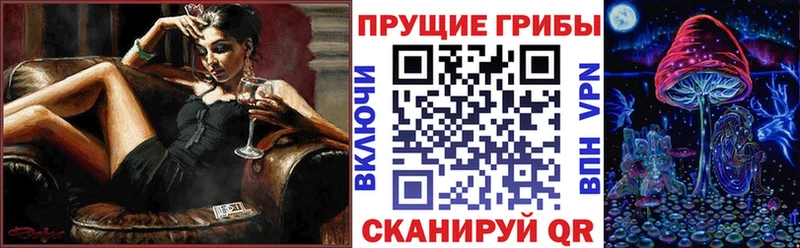 Купить закладки  Зеленодольск  Галлюциногенные грибы Cubensis 